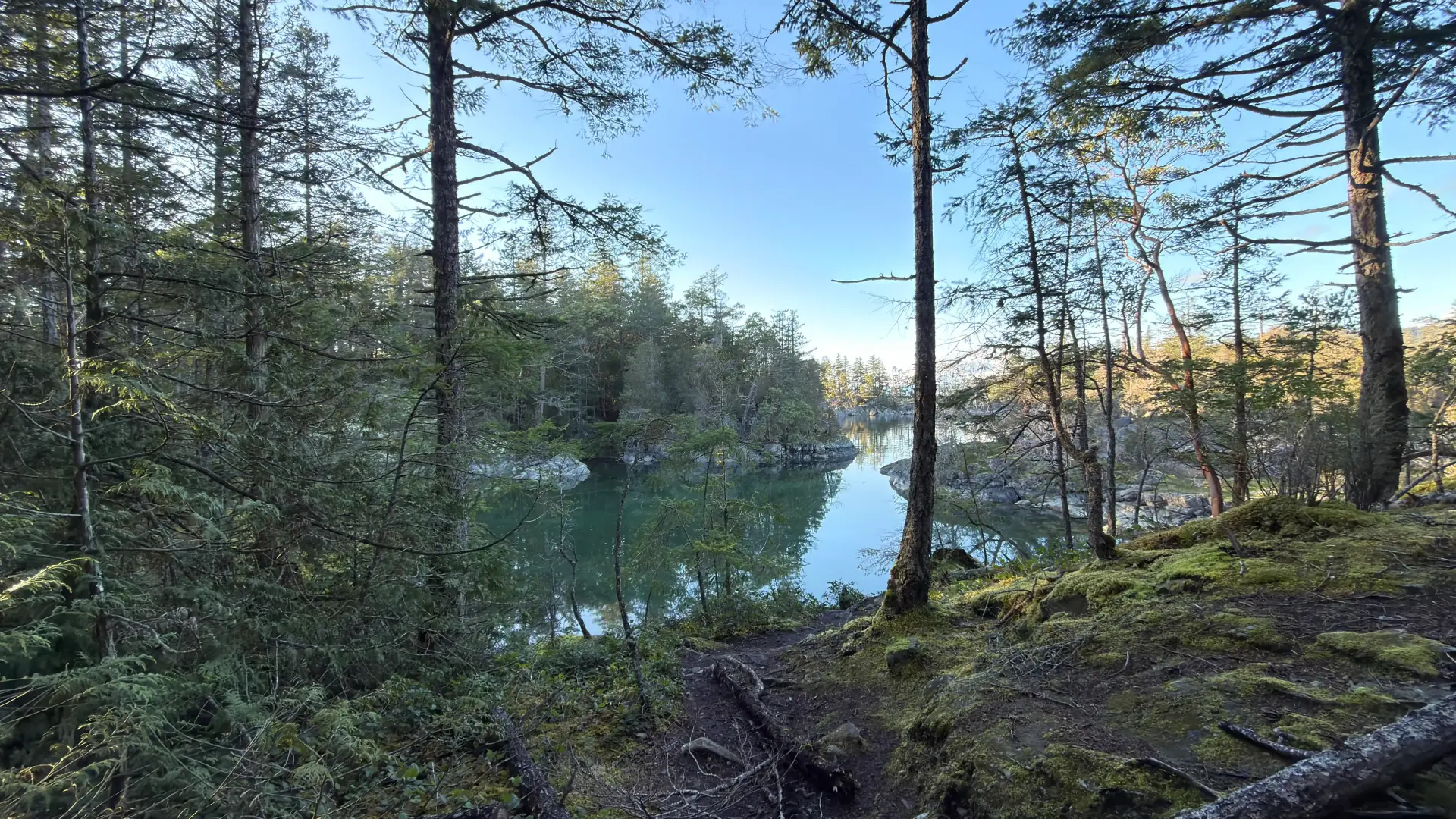 Clean stream through BC forest representing in-stream ad flow