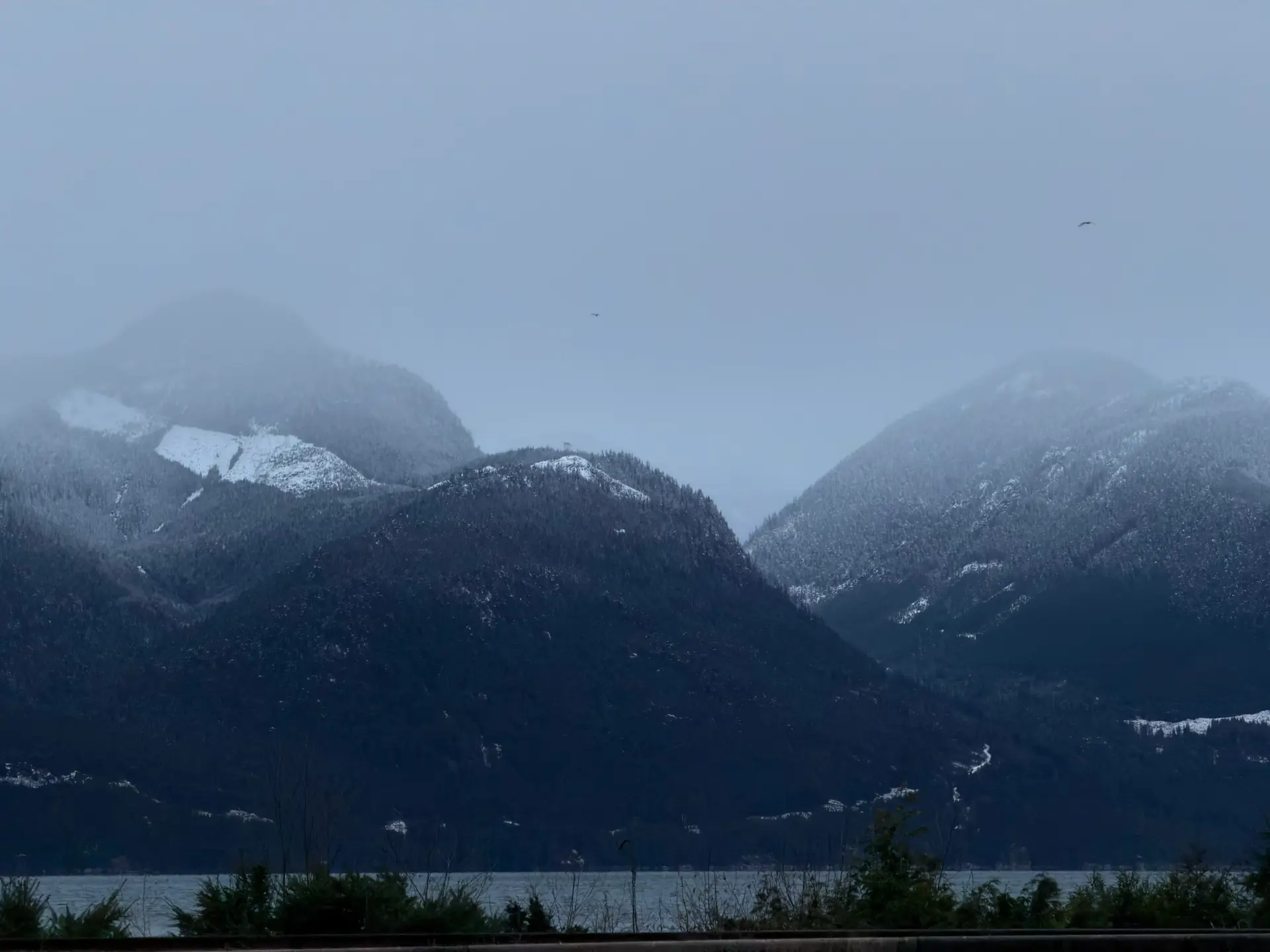 Focused view of BC mountains representing audience targeting