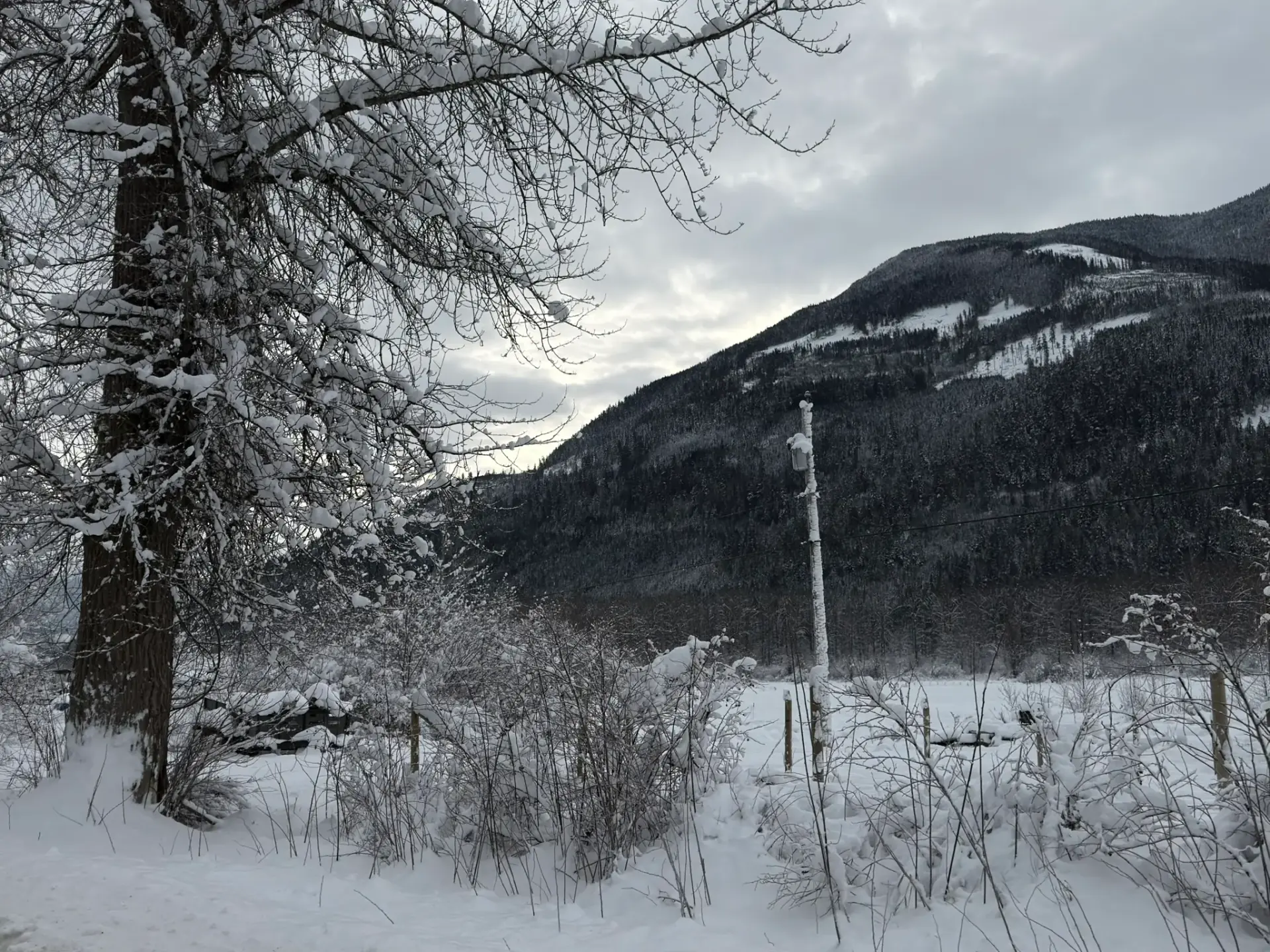 BC mountains near Whistler symbolising North SEO's deep local roots in Vancouver dental marketing