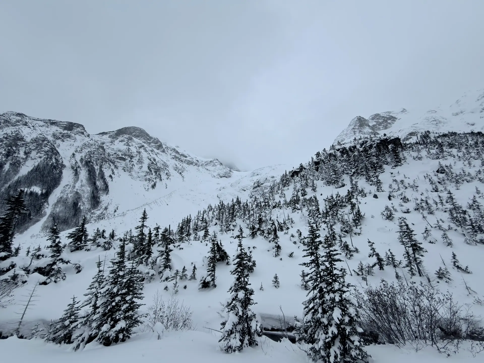 Whistler Mountain, BC — representing North SEO's ambition to take your dental practice to new heights
